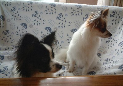 �A�[�X�����[��